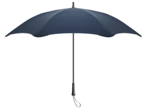 Hero_ClearCut_Template_Exec_0001_Exec_hero_navy-scaled.webp